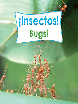 cover image of ¡Insectos! (Bugs!)
